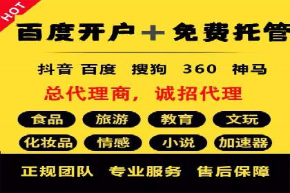 SEM托管服务，实战案例深度剖析
